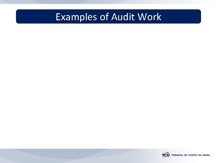 Examples of Audit Work 