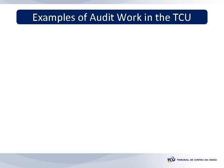 Examples of Audit Work in the TCU 