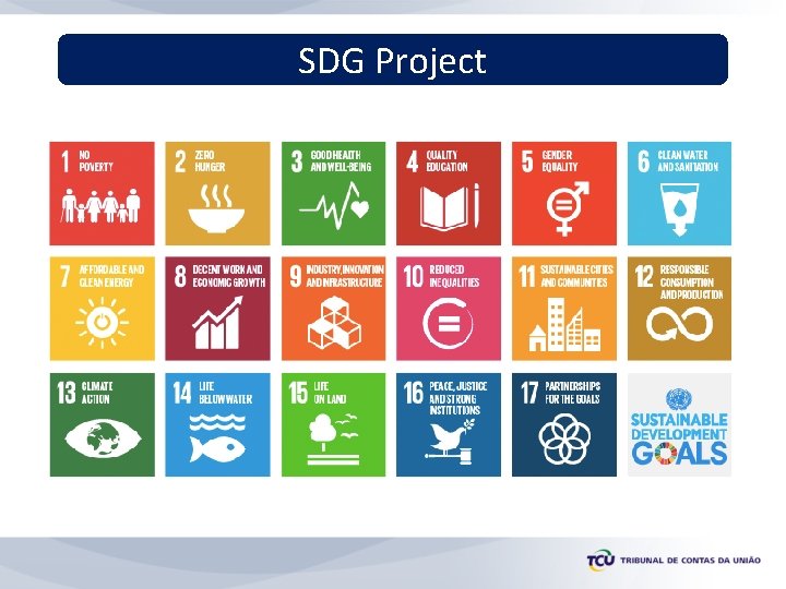 SDG Project 