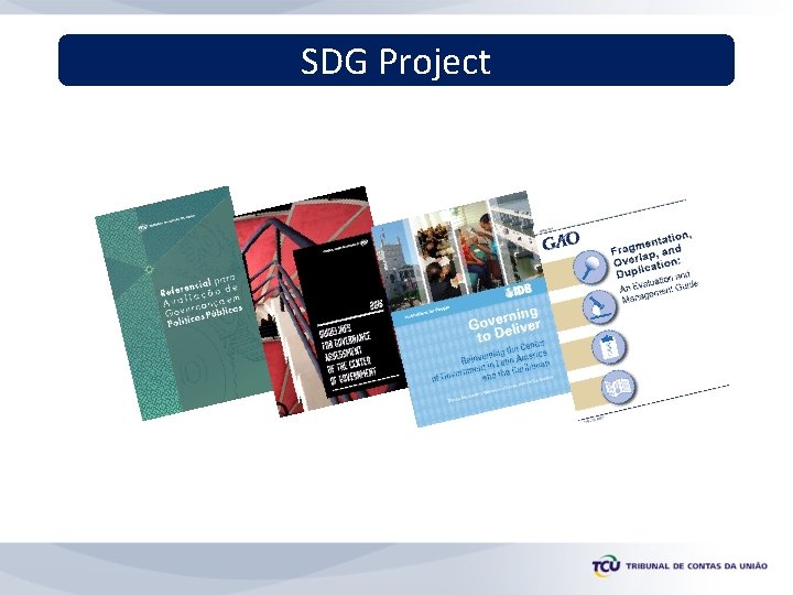 SDG Project 