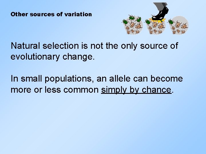 Other sources of variation Natural selection is not the only source of evolutionary change.