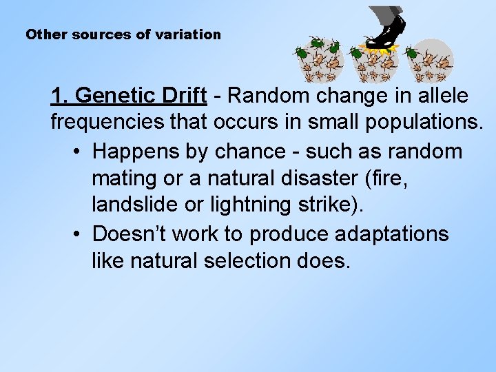 Other sources of variation 1. Genetic Drift - Random change in allele frequencies that