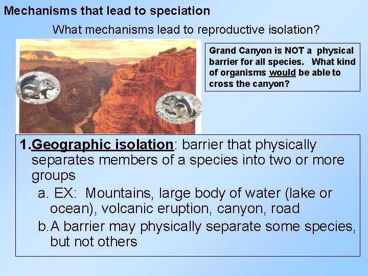 Mechanisms that lead to speciation What mechanisms lead to reproductive isolation? Grand Canyon is