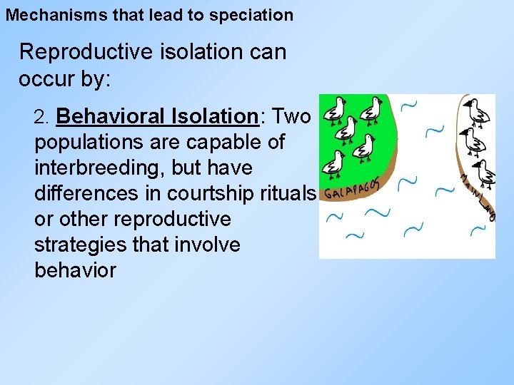 Mechanisms that lead to speciation Reproductive isolation can occur by: 2. Behavioral Isolation: Two