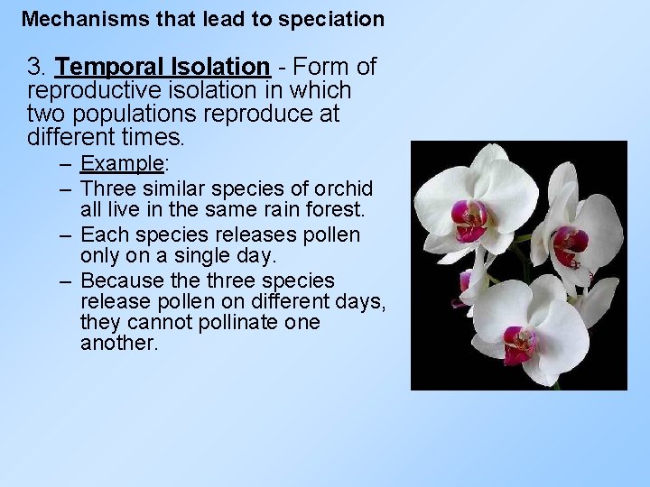 Mechanisms that lead to speciation 3. Temporal Isolation - Form of reproductive isolation in