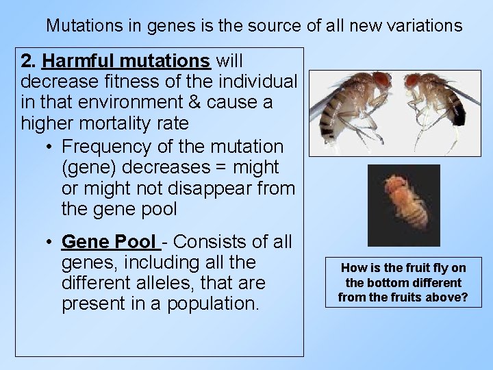 Mutations in genes is the source of all new variations 2. Harmful mutations will