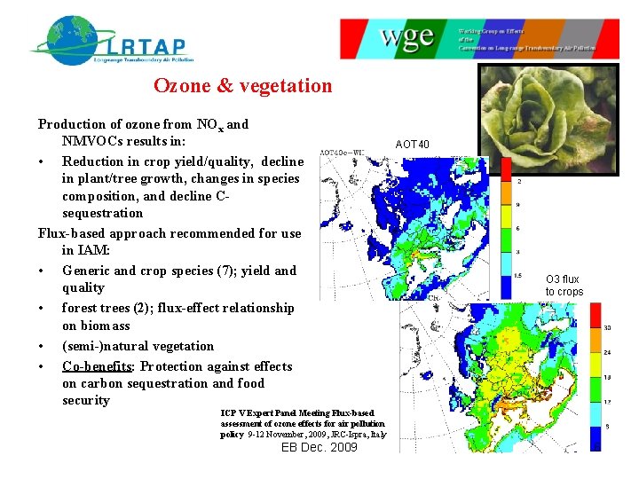 Ozone & vegetation Production of ozone from NOx and NMVOCs results in: • Reduction