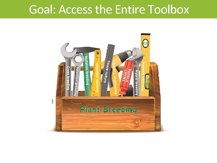 Goal: Access the Entire Toolbox 