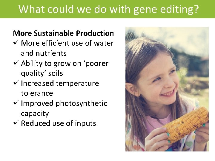 What could we do with gene editing? More Sustainable Production ü More efficient use