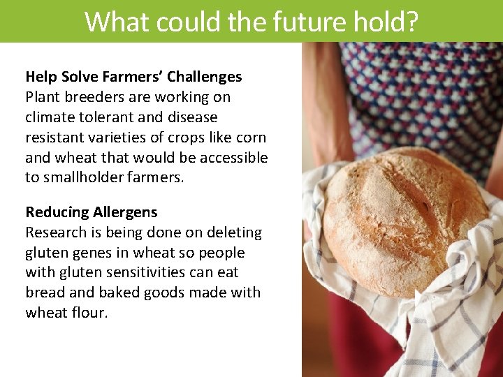 What could the future hold? Tomato Help Solve Farmers’ Challenges -Disease Plant breeders are