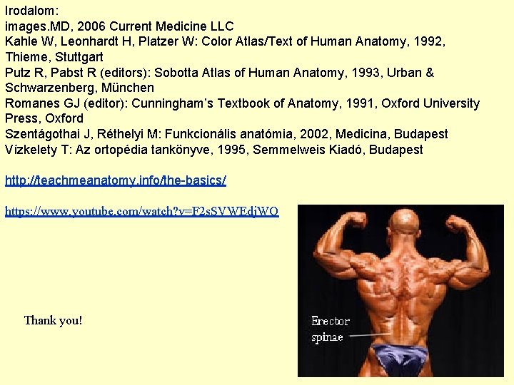 Irodalom: images. MD, 2006 Current Medicine LLC Kahle W, Leonhardt H, Platzer W: Color