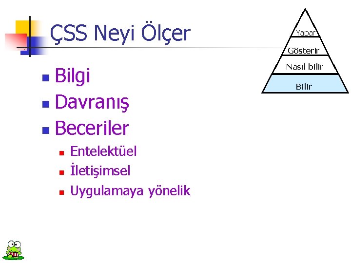 ÇSS Neyi Ölçer Yapar Gösterir Bilgi n Davranış n Beceriler n n Entelektüel İletişimsel