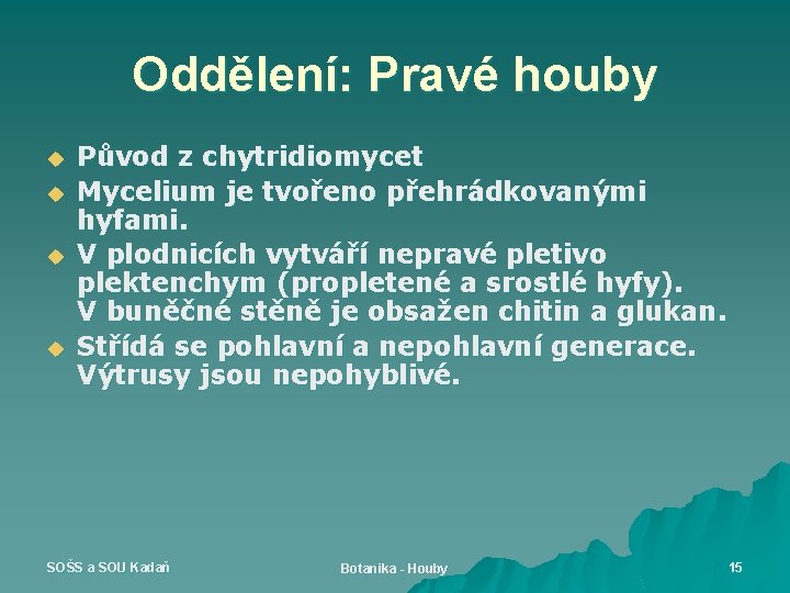 Oddělení: Pravé houby u u Původ z chytridiomycet Mycelium je tvořeno přehrádkovanými hyfami. V