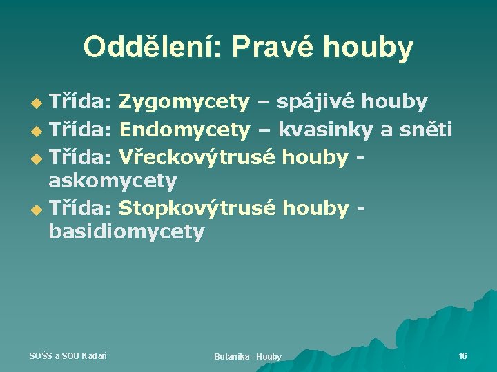 Oddělení: Pravé houby Třída: Zygomycety – spájivé houby u Třída: Endomycety – kvasinky a