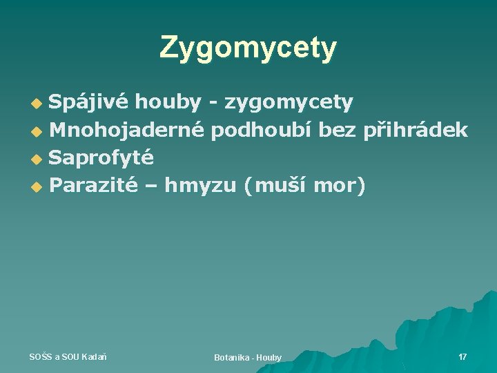 Zygomycety Spájivé houby - zygomycety u Mnohojaderné podhoubí bez přihrádek u Saprofyté u Parazité