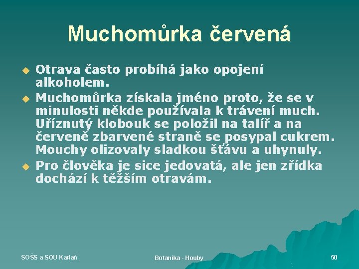 Muchomůrka červená u u u Otrava často probíhá jako opojení alkoholem. Muchomůrka získala jméno