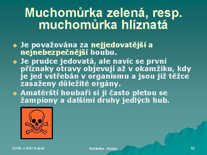 Muchomůrka zelená, resp. muchomůrka hlíznatá u u u Je považována za nejjedovatější a nejnebezpečnější