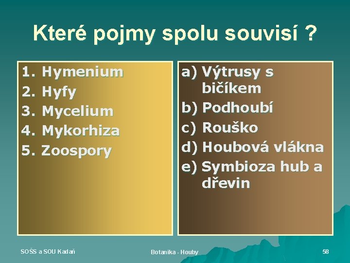 Které pojmy spolu souvisí ? 1. 2. 3. 4. 5. Hymenium Hyfy Mycelium Mykorhiza