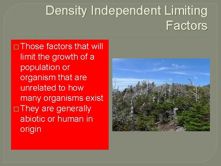 Density Independent Limiting Factors � Those factors that will limit the growth of a