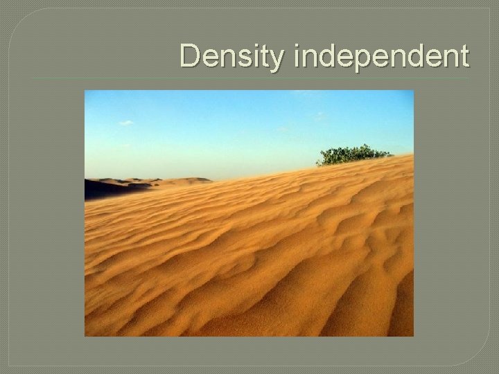 Density independent 