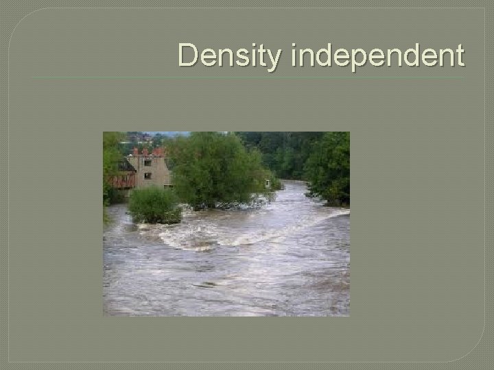 Density independent 