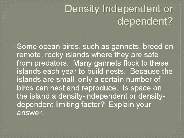 Density Independent or dependent? � Some ocean birds, such as gannets, breed on remote,