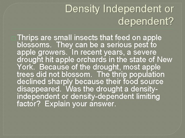 Density Independent or dependent? � Thrips are small insects that feed on apple blossoms.