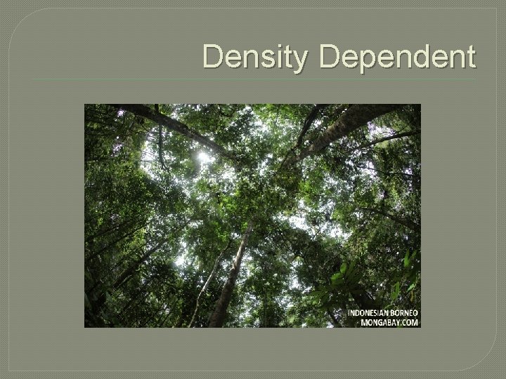 Density Dependent 