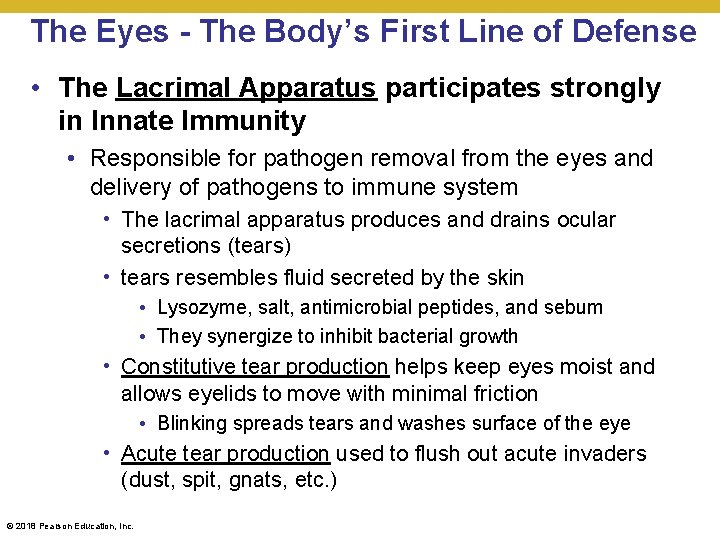 The Eyes - The Body’s First Line of Defense • The Lacrimal Apparatus participates