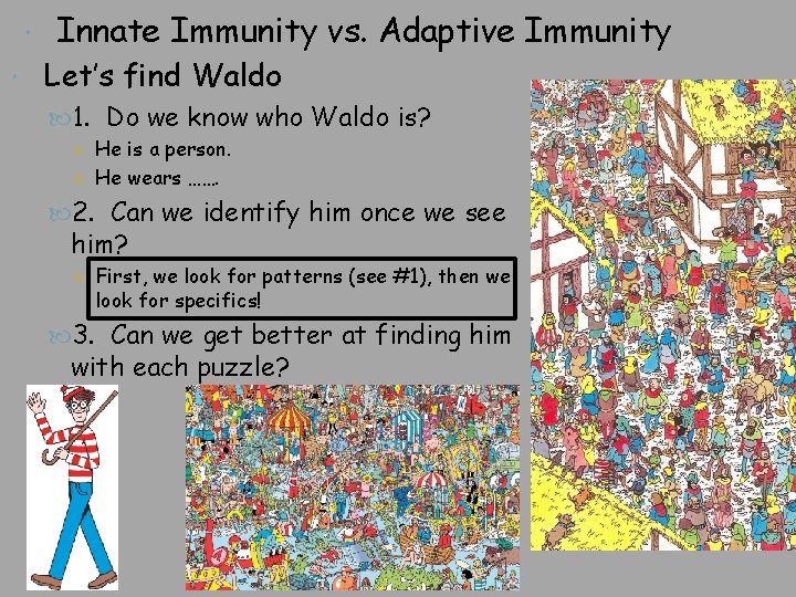  Innate Immunity vs. Adaptive Immunity Let’s find Waldo 1. Do we know who
