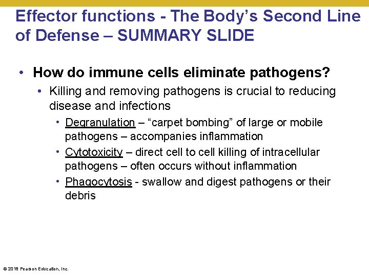 Effector functions - The Body’s Second Line of Defense – SUMMARY SLIDE • How