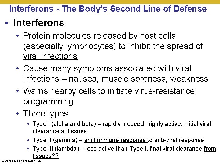 Interferons - The Body’s Second Line of Defense • Interferons • Protein molecules released