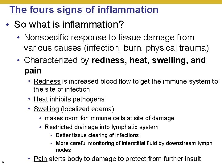 The fours signs of inflammation • So what is inflammation? • Nonspecific response to