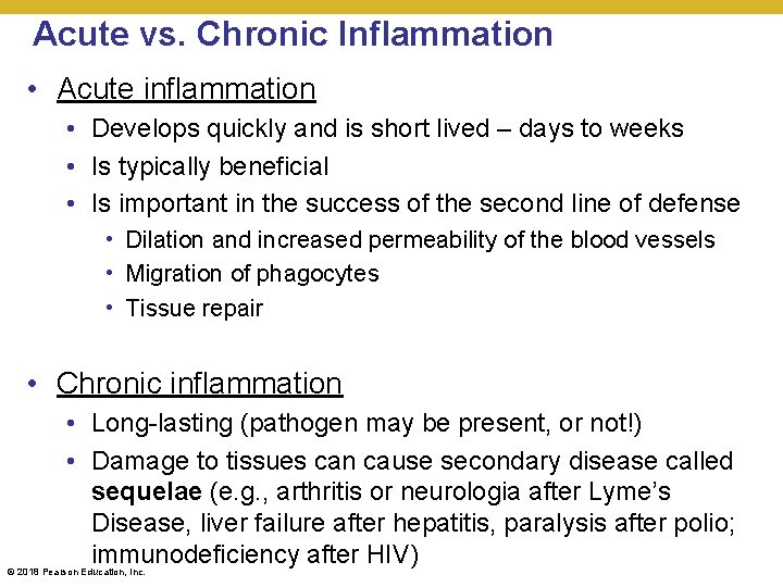 Acute vs. Chronic Inflammation • Acute inflammation • Develops quickly and is short lived