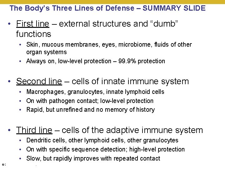 The Body’s Three Lines of Defense – SUMMARY SLIDE • First line – external