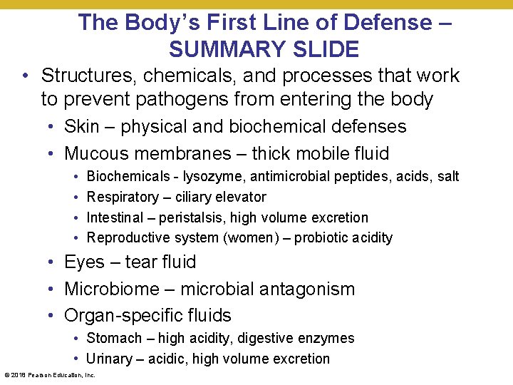The Body’s First Line of Defense – SUMMARY SLIDE • Structures, chemicals, and processes