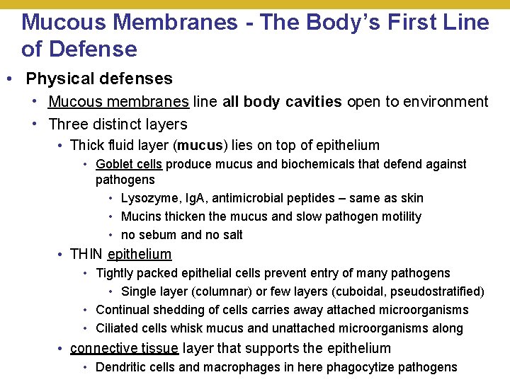 Mucous Membranes - The Body’s First Line of Defense • Physical defenses • Mucous