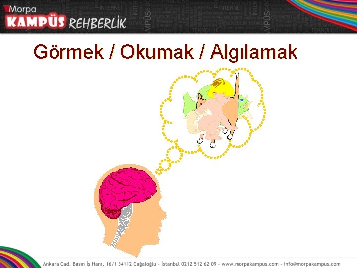 Görmek / Okumak / Algılamak Çocuk Balık Kedi 