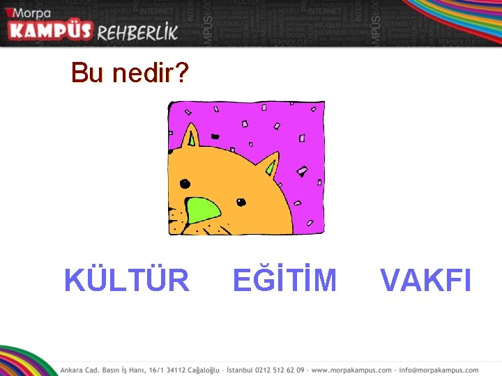 Bu nedir? KÜLTÜR EĞİTİM VAKFI 