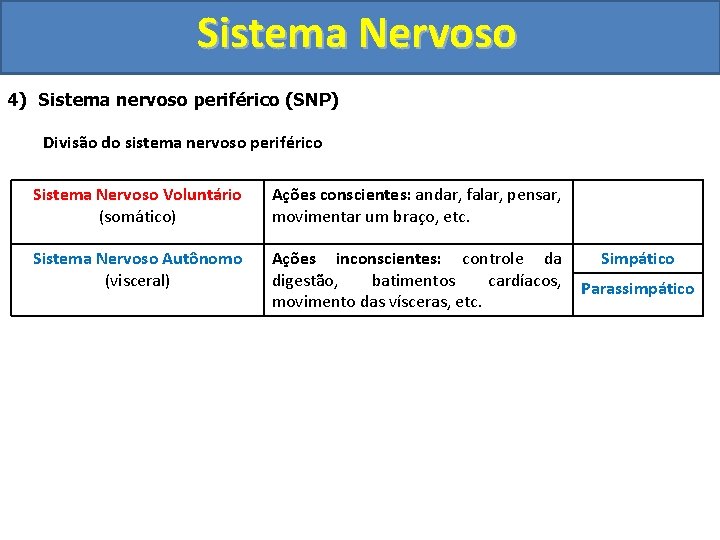 Sistema Nervoso 4) Sistema nervoso periférico (SNP) Divisão do sistema nervoso periférico Sistema Nervoso