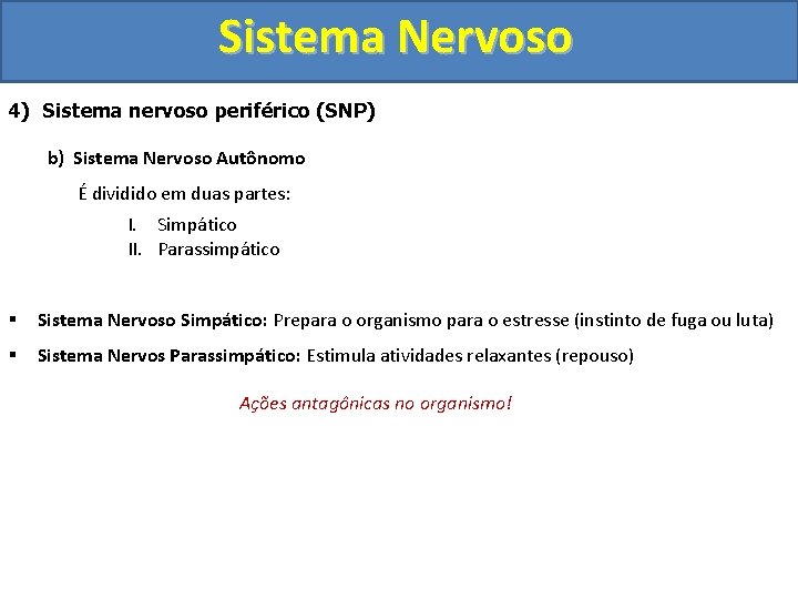 Sistema Nervoso 4) Sistema nervoso periférico (SNP) b) Sistema Nervoso Autônomo É dividido em