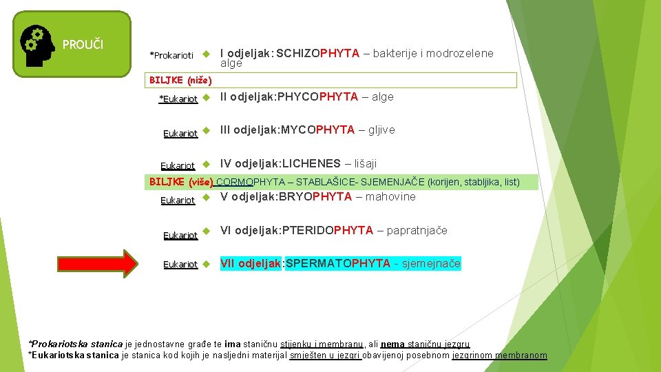 PROUČI *Prokarioti I odjeljak: SCHIZOPHYTA – bakterije i modrozelene alge BILJKE (niže) *Eukariot II