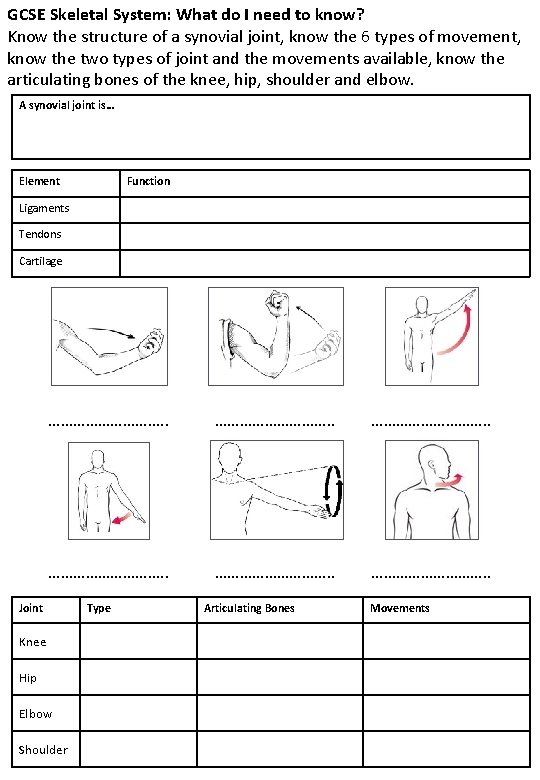 GCSE Skeletal System: What do I need to know? Know the structure of a GCSE Skeletal System: What do I need to know? Know the structure of a