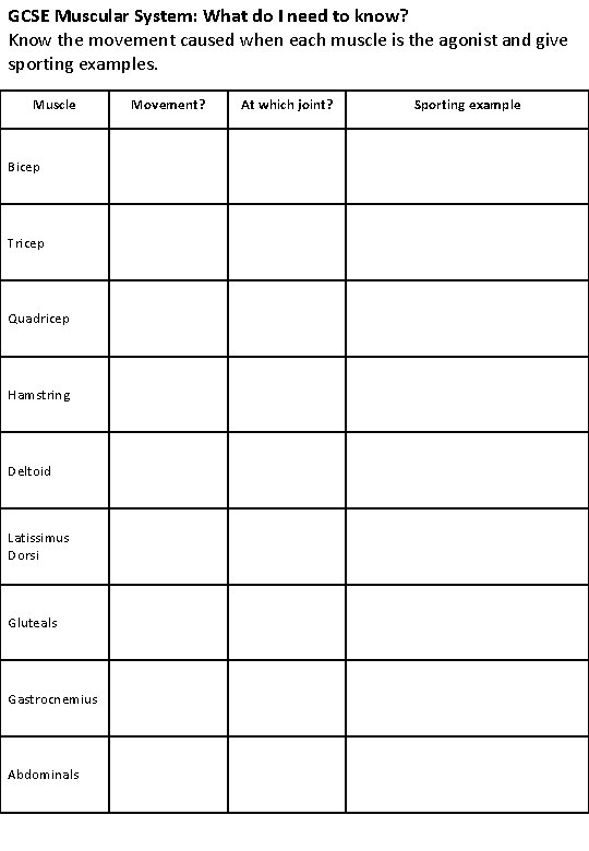 GCSE Muscular System: What do I need to know? Know the movement caused when GCSE Muscular System: What do I need to know? Know the movement caused when