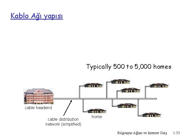 Kablo Ağı yapısı Typically 500 to 5, 000 homes cable headend cable distribution network