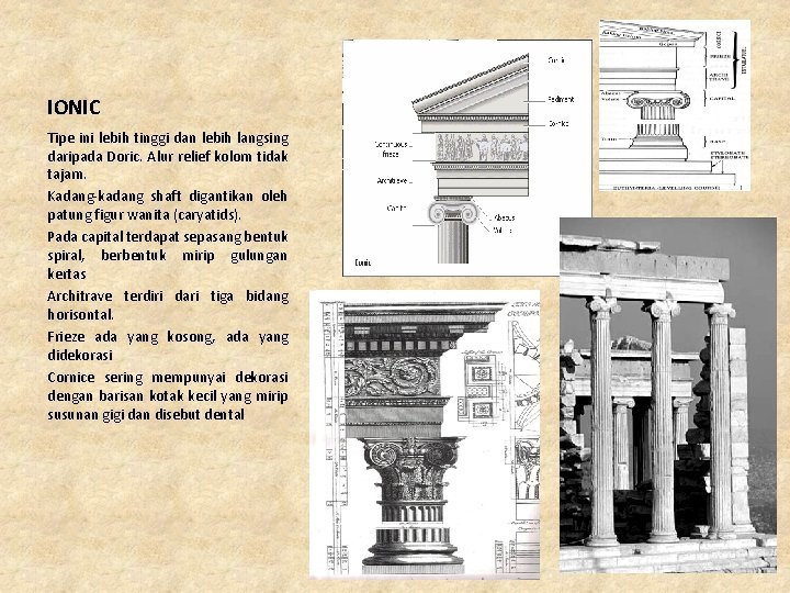IONIC Tipe ini lebih tinggi dan lebih langsing daripada Doric. Alur relief kolom tidak