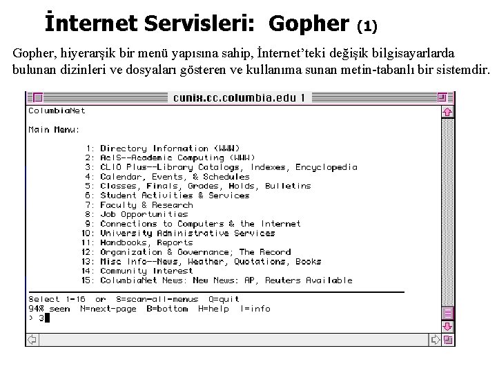 İnternet Servisleri: Gopher (1) Gopher, hiyerarşik bir menü yapısına sahip, İnternet’teki değişik bilgisayarlarda bulunan