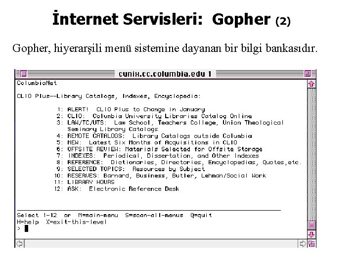 İnternet Servisleri: Gopher (2) Gopher, hiyerarşili menü sistemine dayanan bir bilgi bankasıdır. 