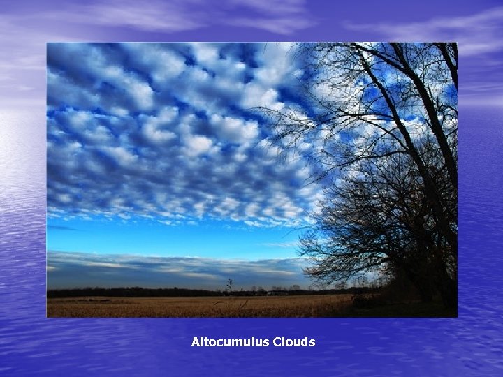 Altocumulus Clouds 