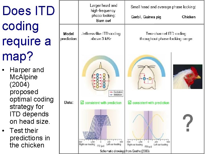 Does ITD coding require a map? • Harper and Mc. Alpine (2004) proposed optimal